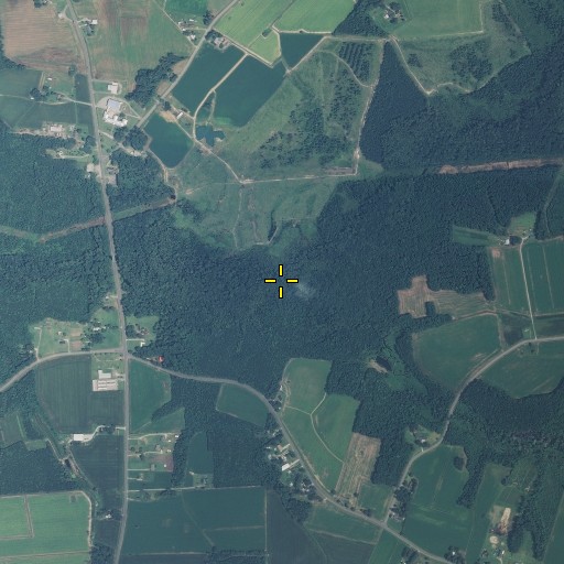 Aerial/Satellite Image of Big Swamp, NC