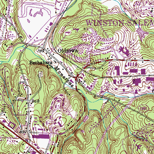 Topographic Map of Oldtown, NC