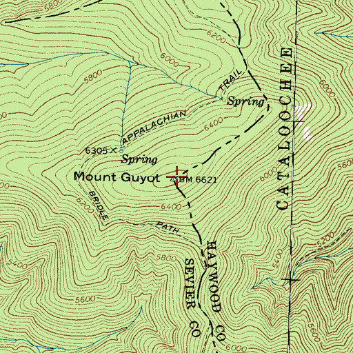 Topographic Map of Mount Guyot, NC