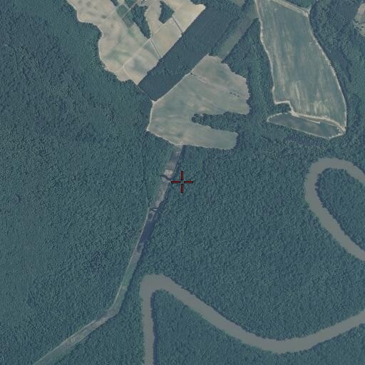 Aerial/Satellite Image of Frog Level Swamp, NC