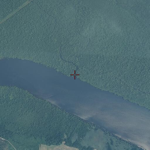 Aerial/Satellite Image of Buckhorn Creek, NC