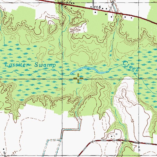 Topographic Map of Lassiter Swamp, NC