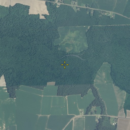 Aerial/Satellite Image of Lassiter Swamp, NC