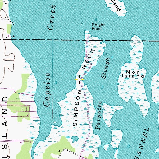 Topographic Map of Simpson Neck, NC
