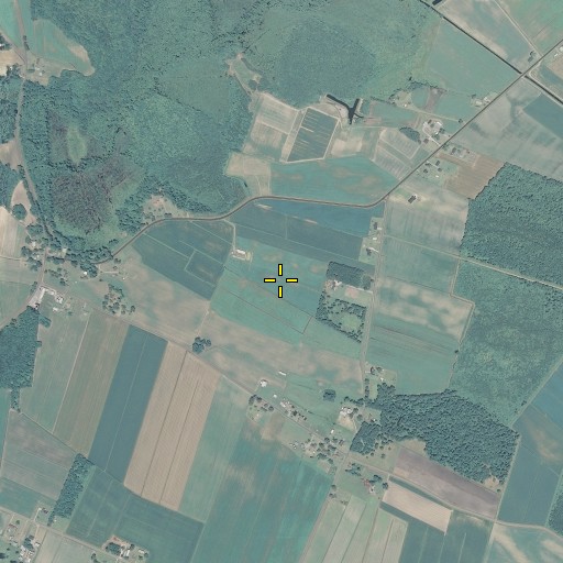 Aerial/Satellite Image of Whiteston, NC