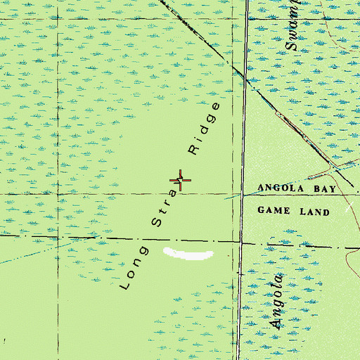 Topographic Map of Long Straw Ridge, NC