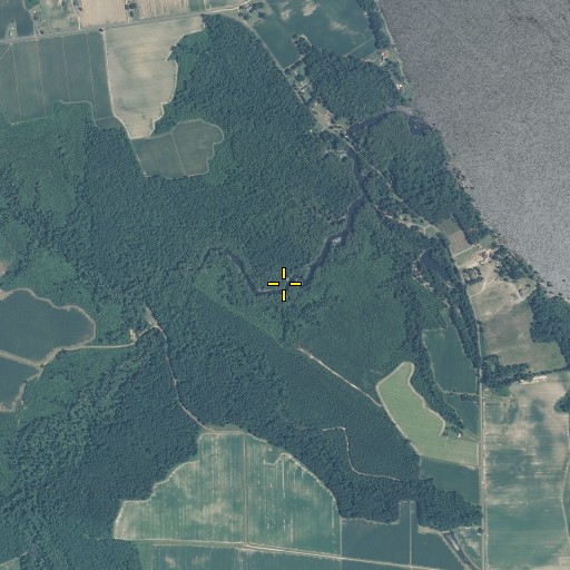Aerial/Satellite Image of Taylor Millpond, NC