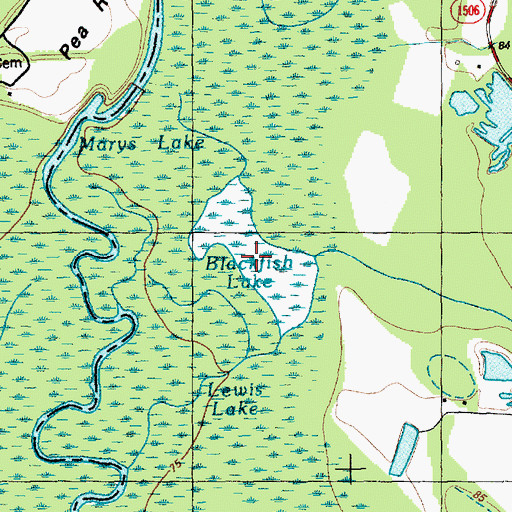 Topographic Map of Blackfish Lake, NC