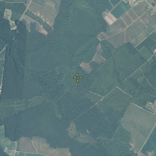 Aerial/Satellite Image of Township of Colerain, NC