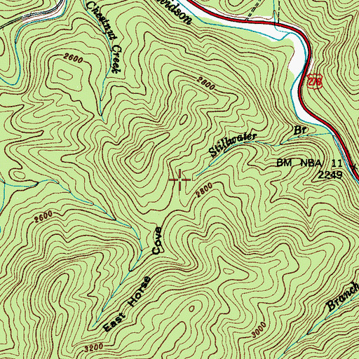 Topographic Map of Township of Brevard, NC