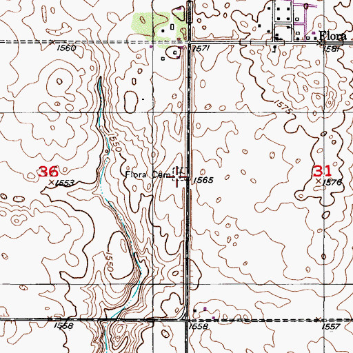 Topographic Map of Flora Cemetery, ND