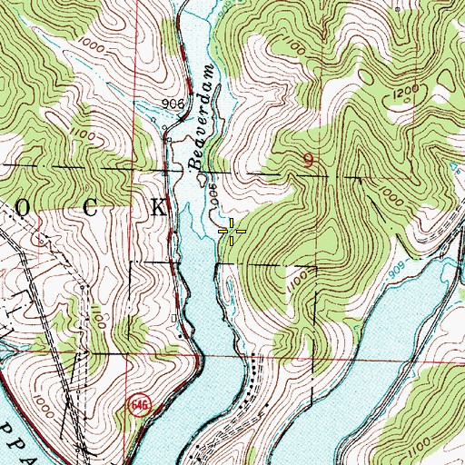 Topographic Map of Beaverdam Run, OH
