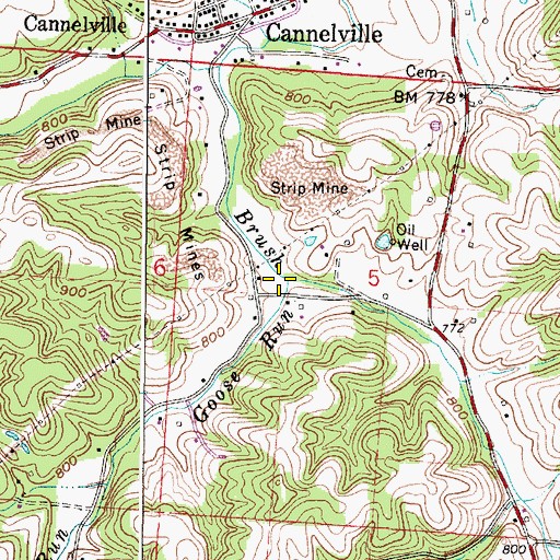 Topographic Map of Goose Run, OH