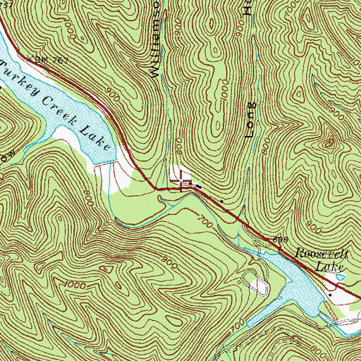 Topographic Map of Williamson Hollow, OH