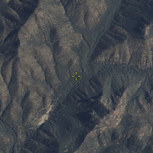 Aerial/Satellite Image of Rucker Forest Camp, AZ