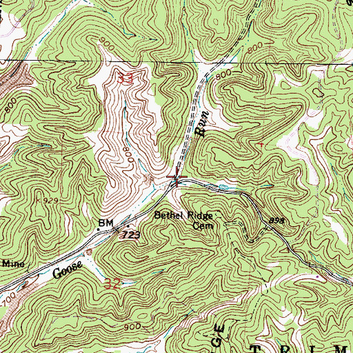 Topographic Map of Goose Run (historical), OH