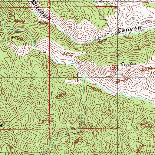 Topographic Map of Rustler Park Canyon, AZ