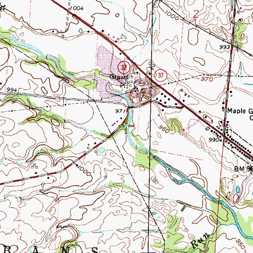 Topographic Map of Pet Run, OH