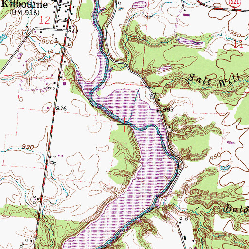 Topographic Map of Salt Well Run, OH