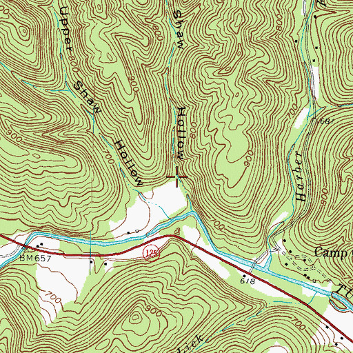 Topographic Map of Lower Shaw Hollow, OH