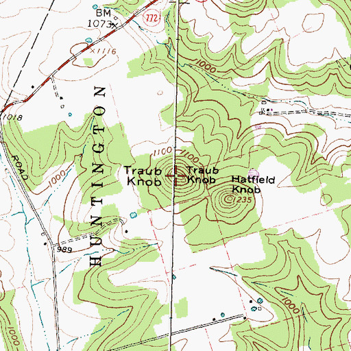 Topographic Map of Traub Knob, OH