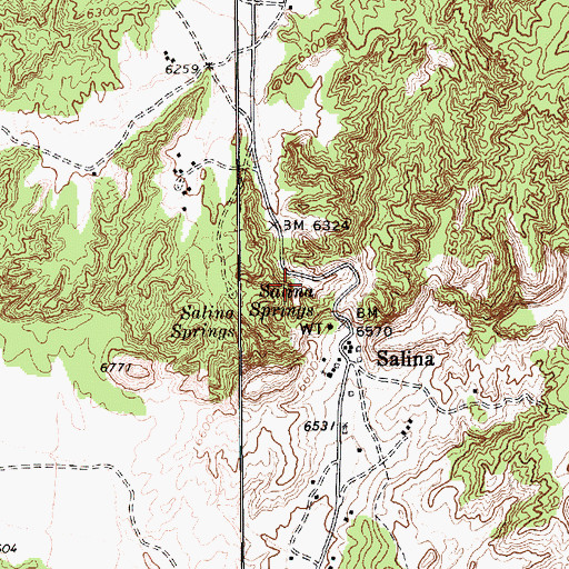 Topographic Map of Salina Springs, AZ