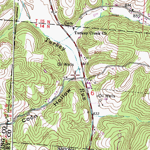 Topographic Map of Coon Hollow, OH