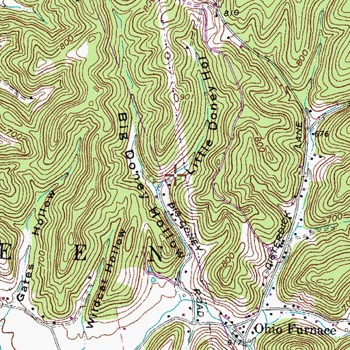 Topographic Map of Little Doney Hollow, OH
