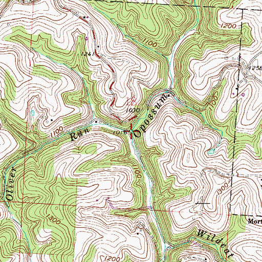 Topographic Map of Oliver Run, OH