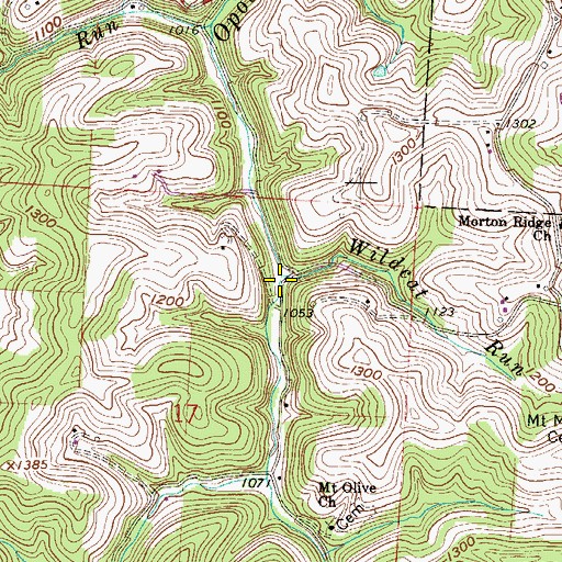 Topographic Map of Wildcat Run, OH