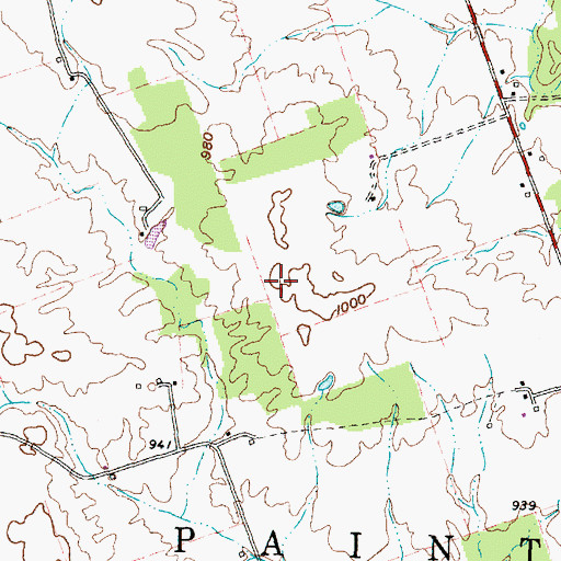Topographic Map of Township of Paint, OH