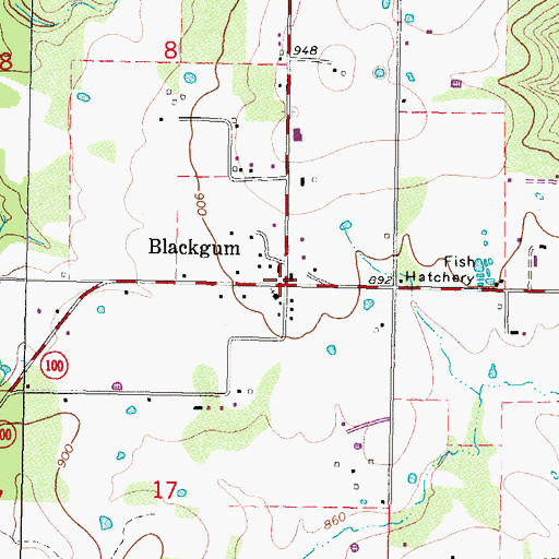 Topographic Map of Blackgum, OK
