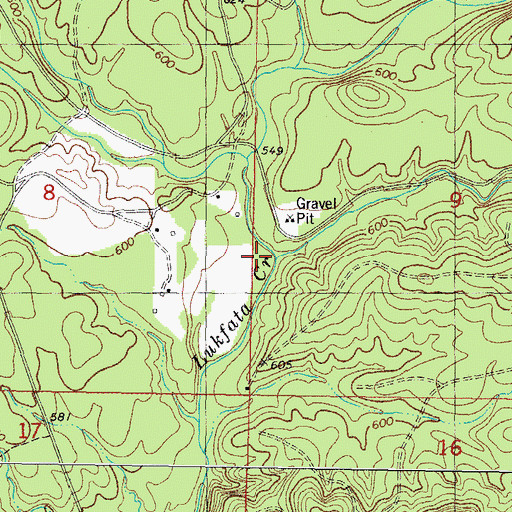 Topographic Map of Briar Branch, OK