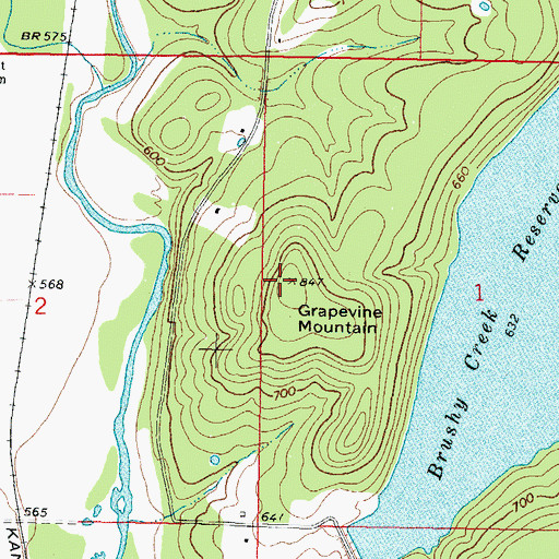 Topographic Map of Grapevine Mountain, OK