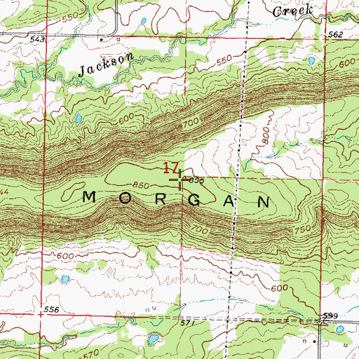 Topographic Map of Morgan Mountain, OK