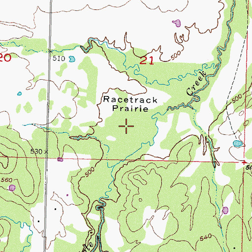 Topographic Map of Racetrack Prairie, OK