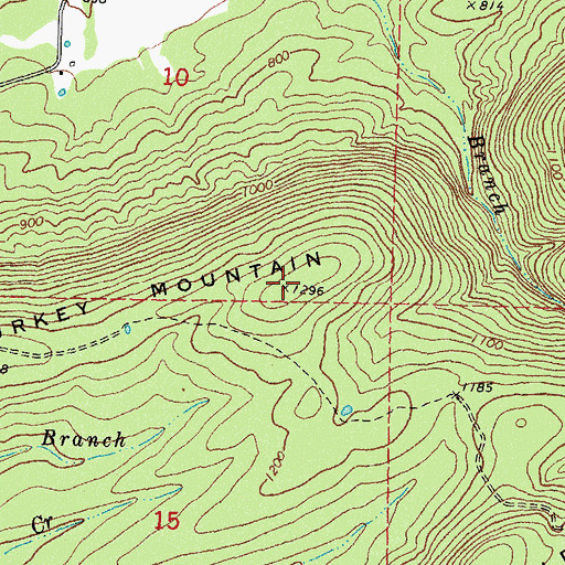 Topographic Map of Turkey Mountain, OK