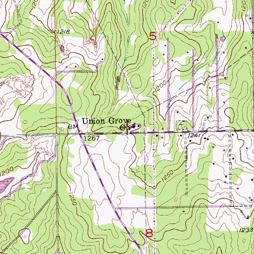 Topographic Map of Union Grove Church, OK