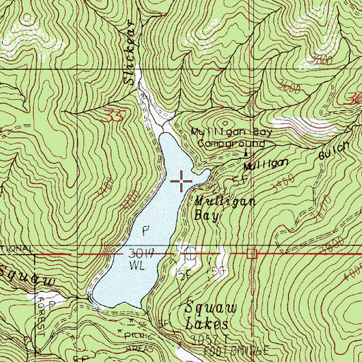 Topographic Map of Mulligan Bay, OR