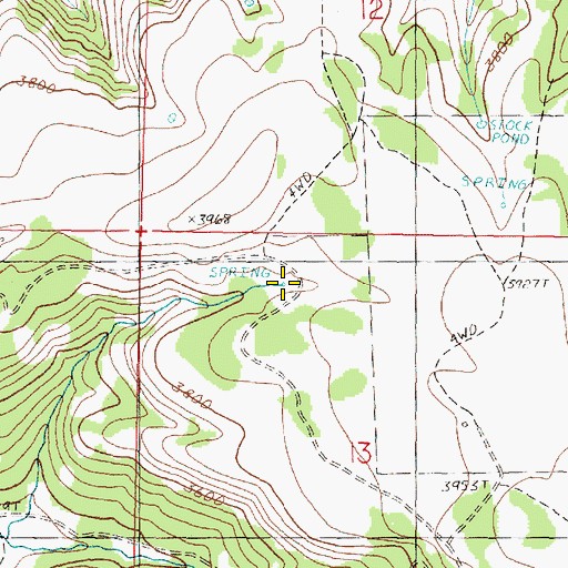 Topographic Map of Case Spring, OR