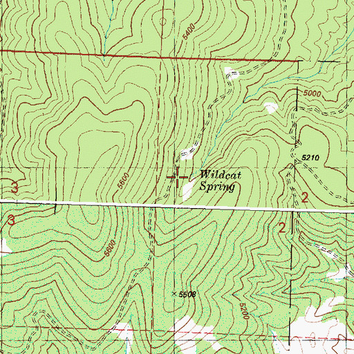 Topographic Map of Wildcat Spring, OR