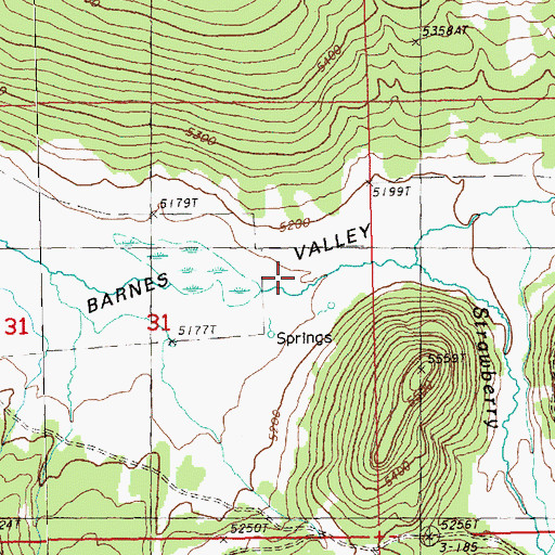 Topographic Map of Bachelor Creek, OR