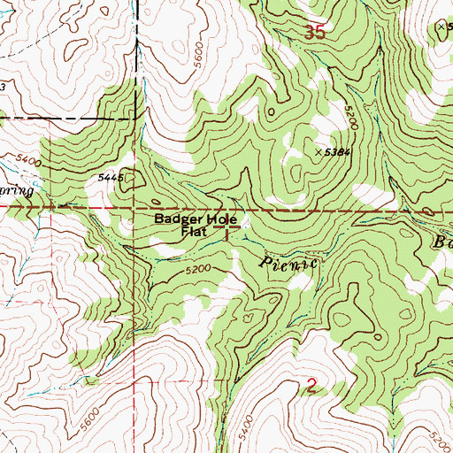 Topographic Map of Badger Hole Flat, OR