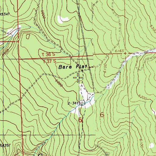Topographic Map of Bare Flat, OR