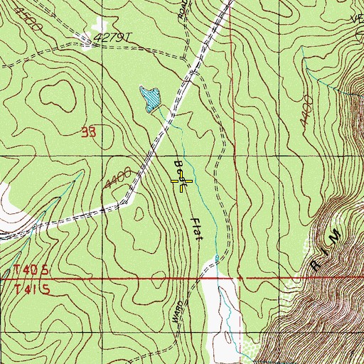 Topographic Map of Bear Flat, OR