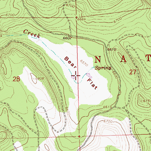 Topographic Map of Bear Flat, OR