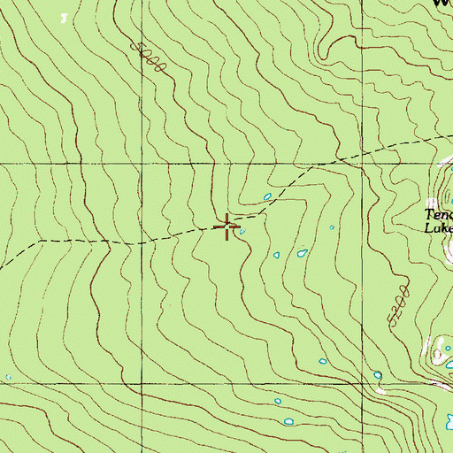 Topographic Map of Benson Trail, OR