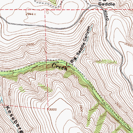 Topographic Map of Big Saddle Canyon, OR