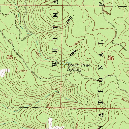 Topographic Map of Black Pine Spring, OR