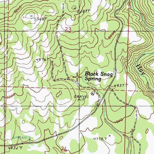 Topographic Map of Black Snag Spring, OR